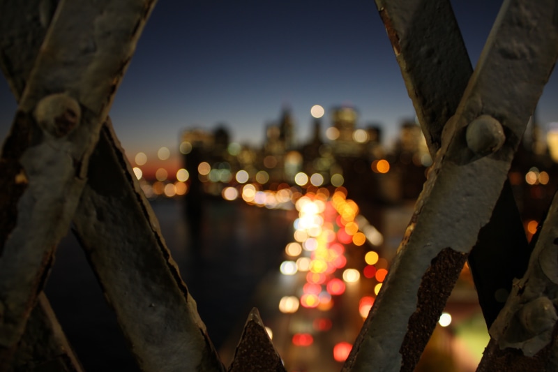 white, New York City, bridge, trunk, tree, illuminated, frame, water, plant, nature, close-up, sky, outdoors, building exterior, night, blurred, built structure