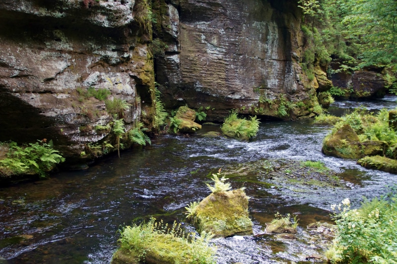 moss, beauty in nature, river, water, 5K, solid, growth, downloading, czech republic, czech switzerland, scenics - nature, land, holidays, forest, rock