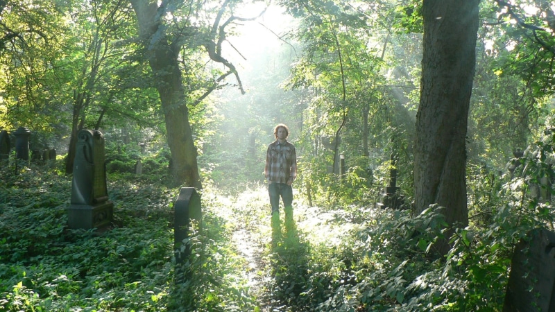 Bracken, young adult, Sunlight, growth, nature, leisure activity, standing, plant, full length, casual clothing, adult, 1080P, outdoors, tranquility, one person