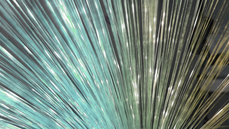 palm tree, nature, textured, leaf, silver colored, beauty in nature, selective focus, green color, 1080P, metal, day, close-up, palm leaf, full frame