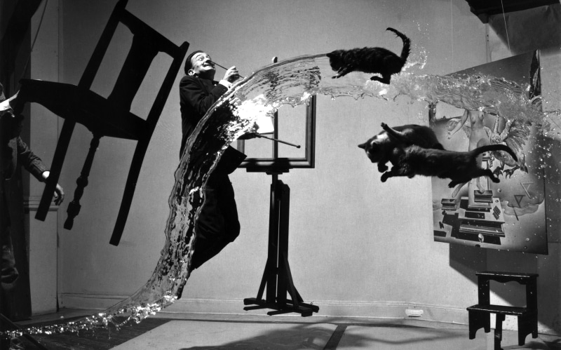 2K, built structure, carousel, architecture, carousel horses, monochrome, vertebrate, no people, livestock, abstract, Salvador Dalí, animal, arts culture and entertainment