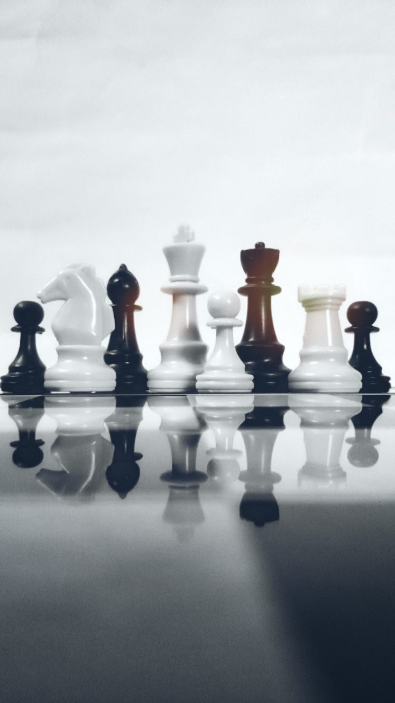 king - chess piece, white background, still life, leisure games, surface level, strategy, knight - chess piece, chess, board game, chess board, arts culture and entertainment