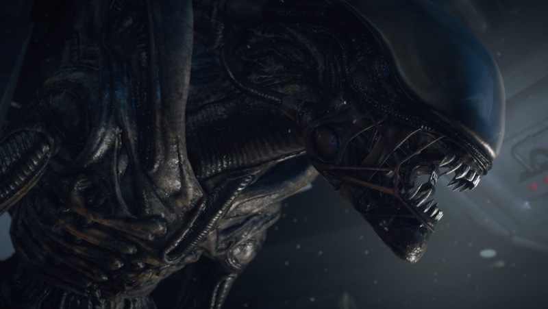 playstation 3, animal wildlife, water, sea life, underwater, total war, one animal, spooky, statue, xbox 360, alien isolation, animal, no People, art and craft