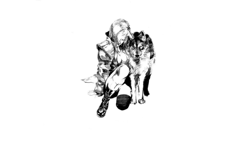 domestic animals, copy space, print, Metal Gear, cut out, motion, black, still life, no people, black color, indoors, textile, white background, Metal Gear Solid 