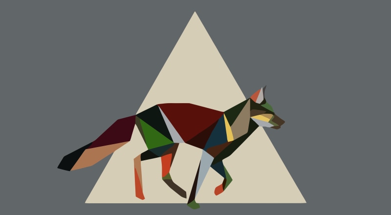 fox, triangle shape, nature, panting, creativity, colorful, multi colored, variation, gray, art and craft, animals, design, simple background, pattern