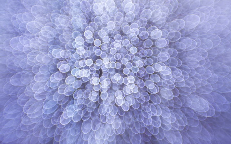 fractal, large group of objects, 2K, full frame, bubble, pattern, indoors, extreme close-up, painting, softness, geometric shape, no people, nature, vulnerability