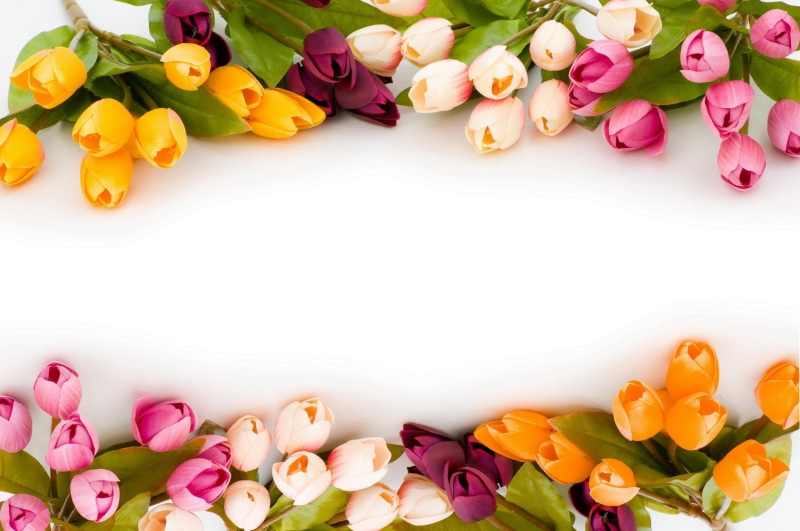 yellow, tulips, colourful, pink, orange, colours, jacqeline, 1080P, beauty, beautiful tulips, wonderful tulips, 3d and ab
