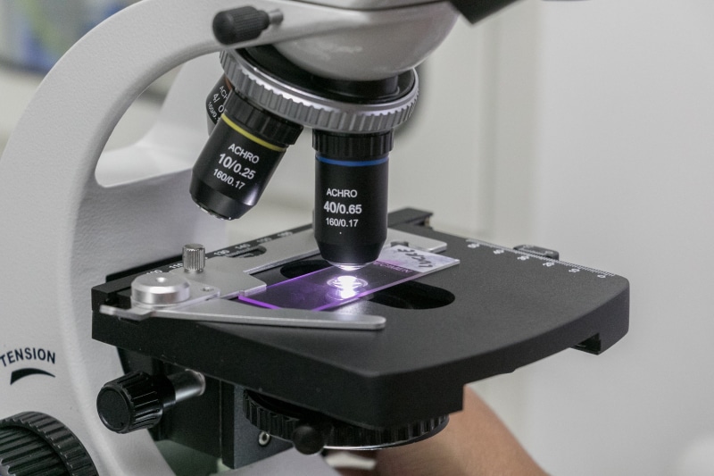 virus, microscope, sample, magnification, biochemistry, laboratory, biology, microbiology, team, lab, 2K, close-up, no people, healthcare and medicine