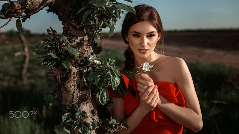 long hair, outdoors, bare shoulders, women, flower arrangement, depth of field, young women, glamour, nature, flowering plant, flower, adult, braids, dress