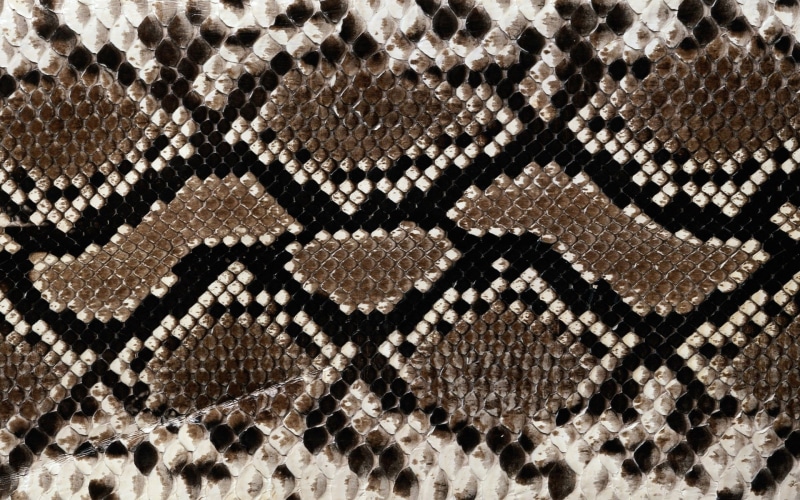 background, no People, close-up, snake, old-fashioned, leather, full frame, material, 1080P, art and craft, abstract, fashion, directly above, garment