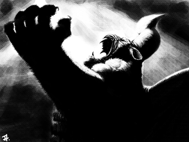 animal, Berserk, looking at camera, whisker, domestic animals, animal head, pets, domestic cat, animal themes, Kentaro Miura, cat, indoors, 720P, feline