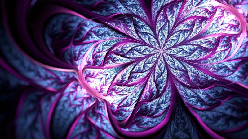 element, design, satin, lines, curve, flower, leaf, plant part, focus on foreground, artistic, vegetable, indoors, art, no people, backdrop, light, nature