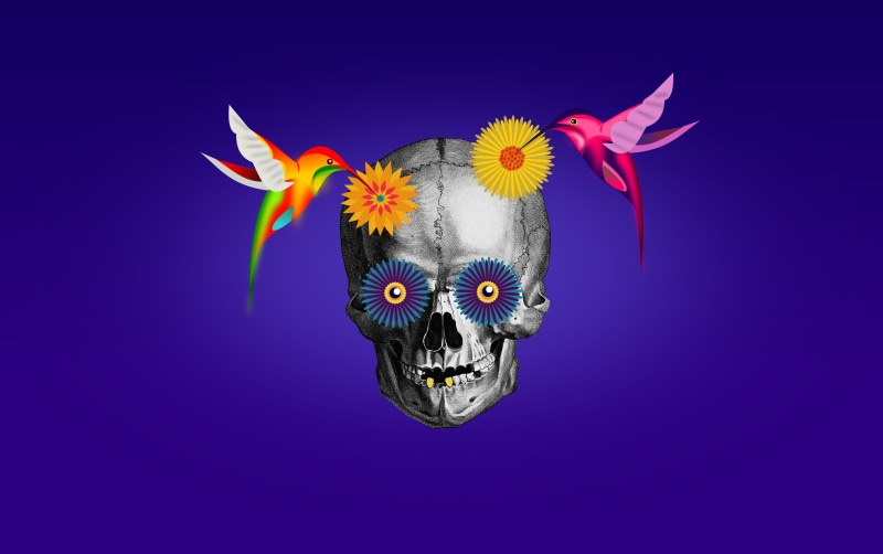 aztec, dia, calavera, animal body part, horror, flower, festival, hummingbirds, skulls, illustration, purple, sugar, indoors, smiling, butterfly - insect