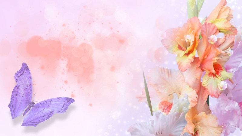 abstract, beige, splash, flowers, papillon, peach, summer, illustration, spring, 1080P, lavender, natu, butterfly, softly, splatter, petaled, flower, iris