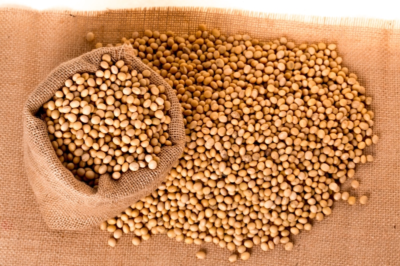 freshness, legume family, bean, organic, wellbeing, Seeds, brown, Bag, lay, no people, large group of objects, food, flat, sack, vegetarian food, vegetable