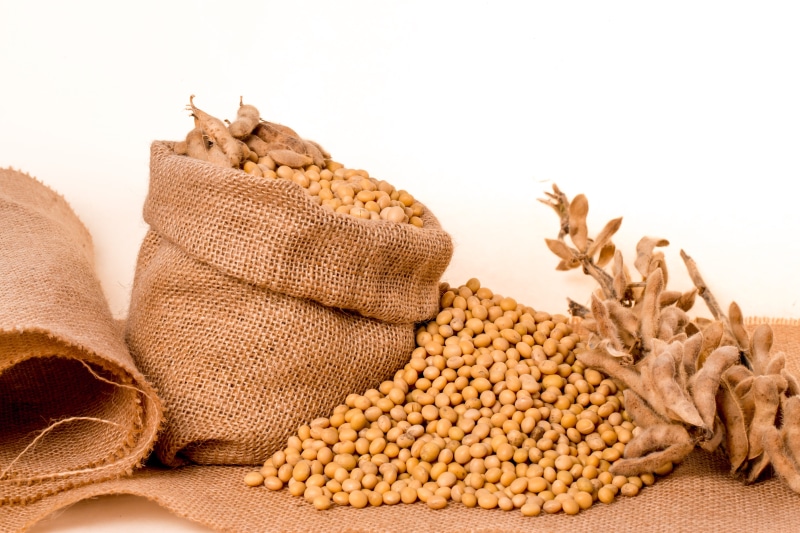 healthy eating, indoors, 5K, group of objects, vegetable, nature, ingredient, Seeds, no people, Bag, jute, grain, Plants, Burlap, food and drink, studio shot