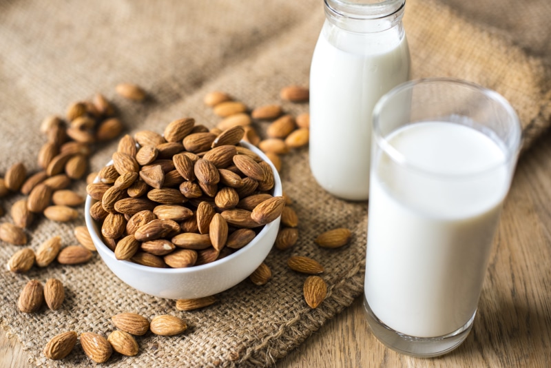 nutritional, organic, nutritious, close-up, glass, edible, drink, healthy, nutrition, bowl, seed, milk, milk bottle, no people, food photography, sack