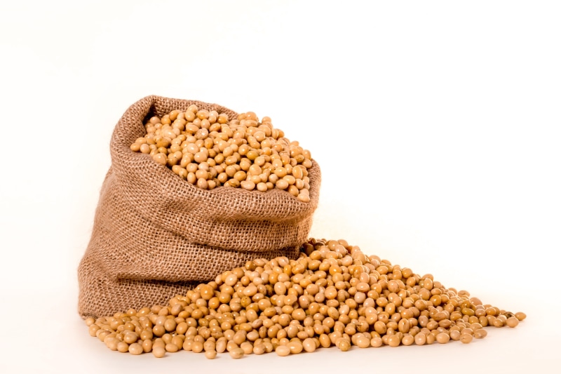 freshness, organic, vegan, food and drink, legume family, ingredient, healthy eating, plant, healthy lifestyle, cereal plant, soybeans, burlap, seeds, cut out