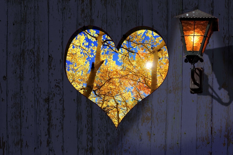 day, nature, 4K, illuminated, blue, fall leaves, pattern, desktop backgrounds, outdoors, wall - building feature, background, golden autumn, lighting equipment