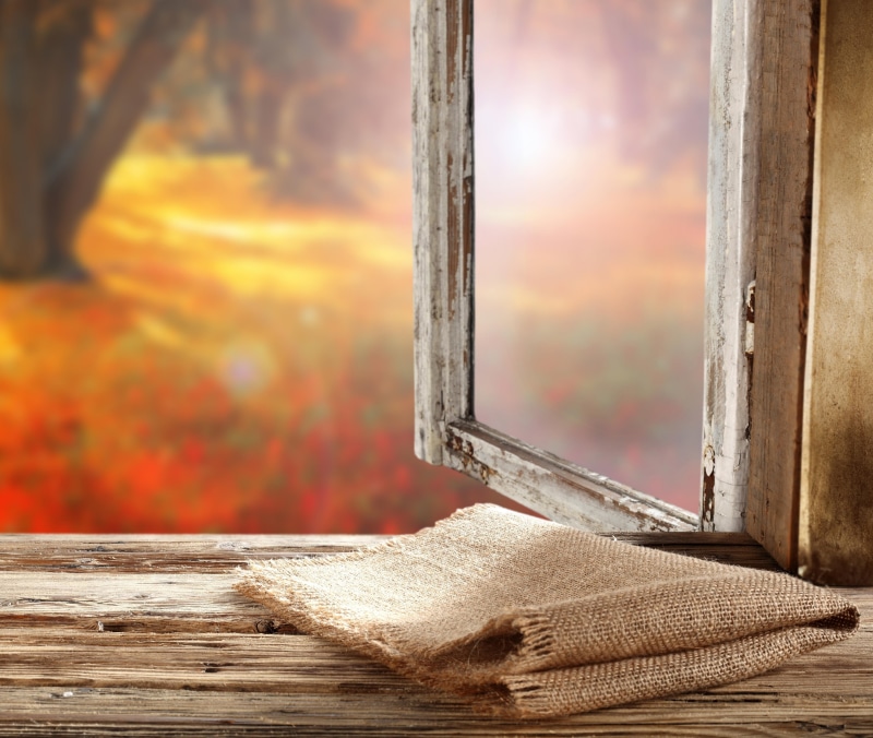 outdoors, sunlight, focus on foreground, no people, tree, day, brown, change, textile, autumn, orange color, nature, close-up, built structure, window