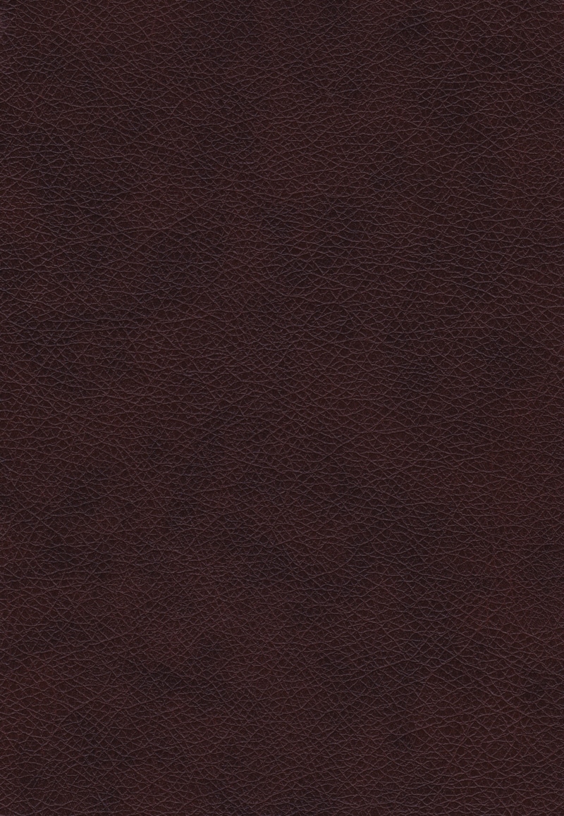 create, artistic, textured, rough, rau, textures, art, real feather, creative, red, concrete wall, fur, brown, leather, abstract, extreme close-up, textured effect