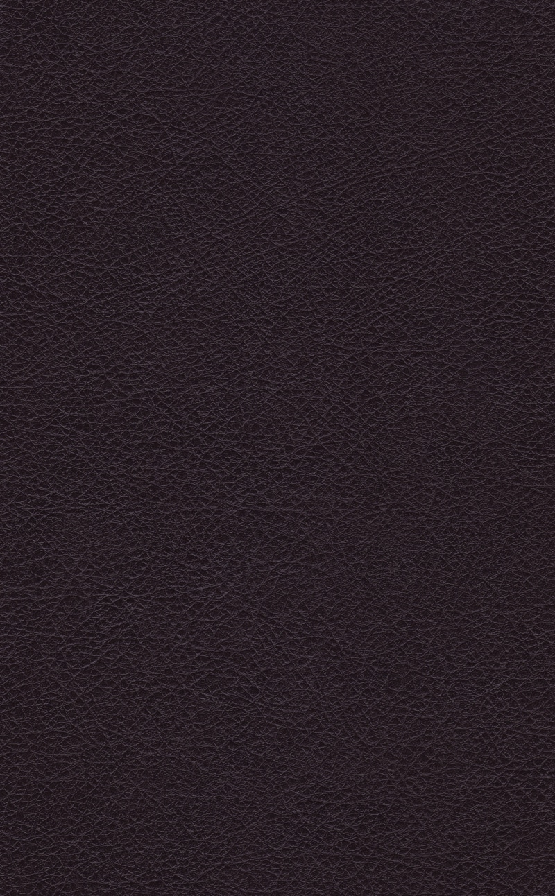 copy space, surface level, leather, pattern, fur, wall - building feature, rau, area, concrete, art, artist, full frame, extreme close-up, blank, dark