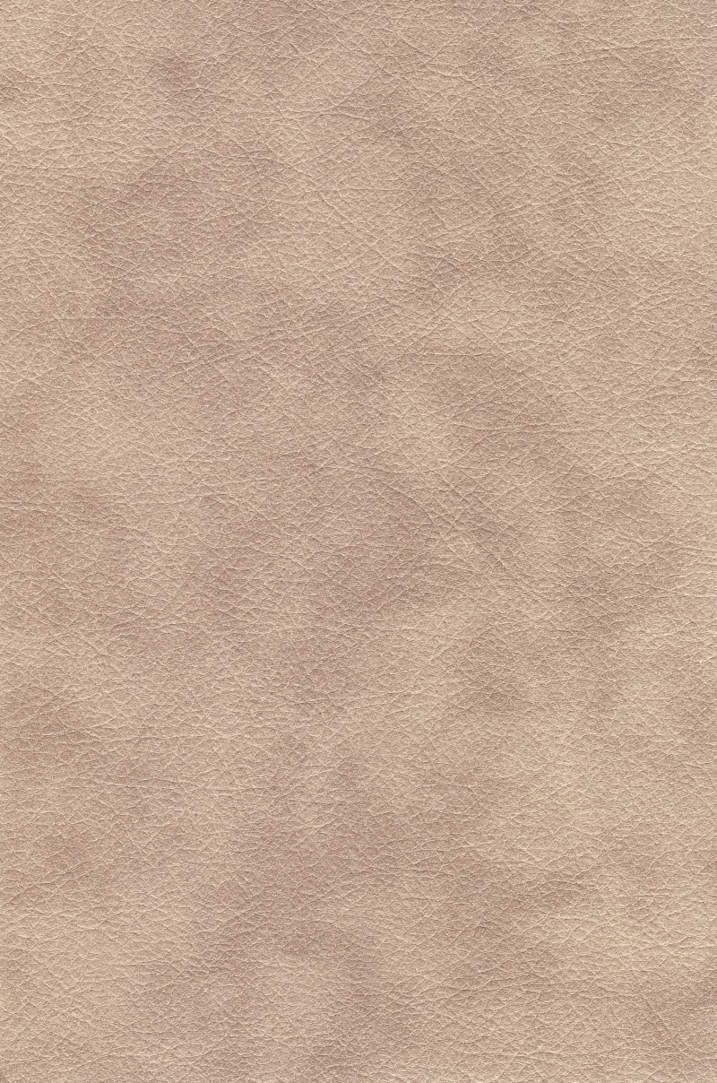 leather, light, area, fur, carpet, professional, abstract, surface level, design element, design, high, pattern, art and craft, natural, artists canvas