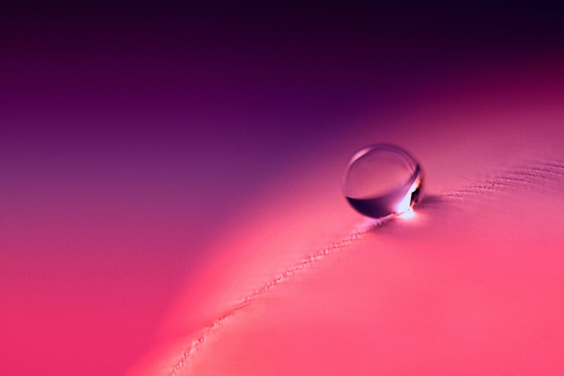 reflection, water drop, HSS, PINK, WATER  DROP, Tears Roll Down, textile, TEARS  ROLL  DOWN, MACRO, 4K, SCOTLAND, liquid, water, DOWN  FEATHER, COLOURS