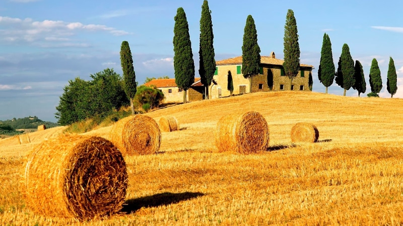 history, feed, sky, architecture, bale, building, day, rolled up, summer, tree, country, tuscany, fodder, nature, tranquil scene, old, travel, agriculture