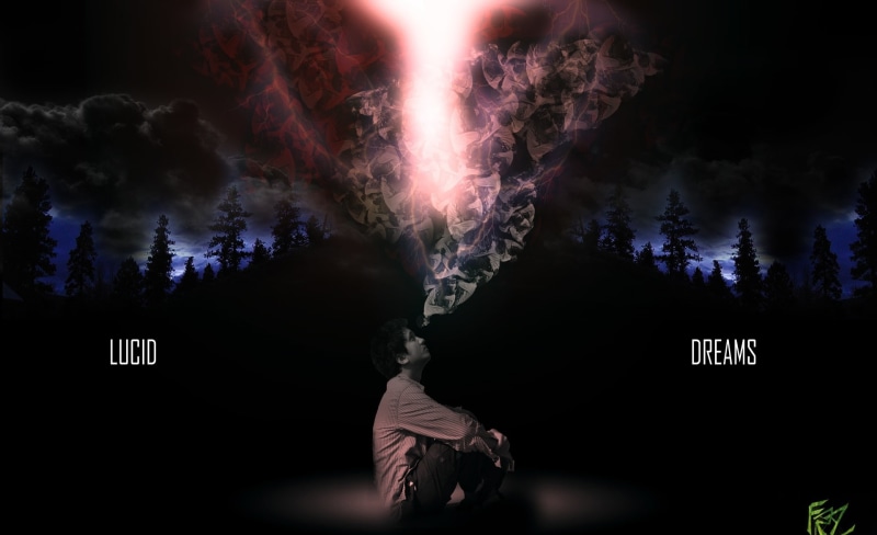 communication, adult, digital art, nature, dark, firework display, Aero, firework, motion, real people, tree, night, purple, Dream, outdoors, smoke - physical structure