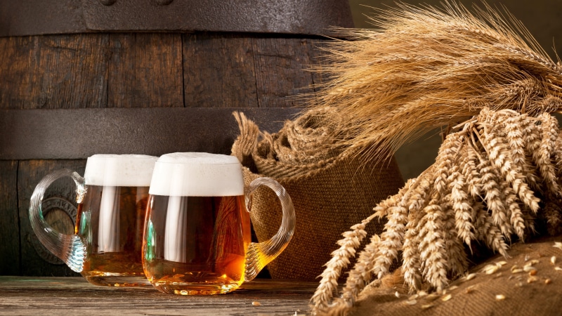 beer, refreshment, wood - material, agriculture, beer - alcohol, bar - drink establishment, glass, foam, cup, food, planks, frothy drink, barrels, alcohol