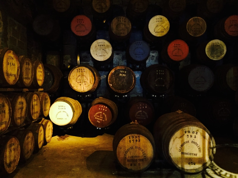 abundance, barrels, cellar, 2K, large group of objects, alcohol, cylinder, barrel, winery, wine, in a row, no people, dumgoyne, wine cellar, container