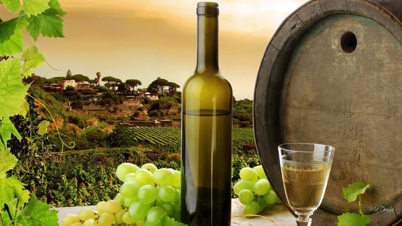 cask, country, grapes, hill, grape vines, houses, field, bottle, glass, 1080P, vineyard, 3d and abstract, wine