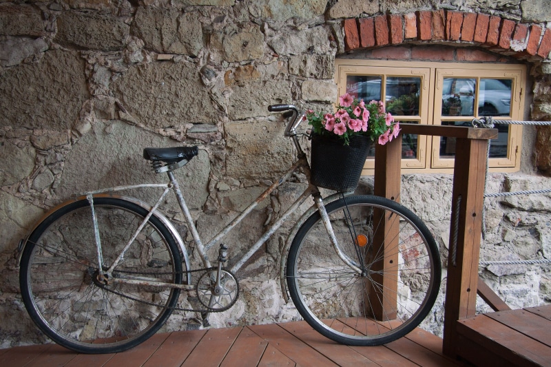 wine, decorated, window, nature, street, fashioned, biking, beauty, flower, mode of transportation, bouquet, kuldiga, bicycle, standing, building, toned