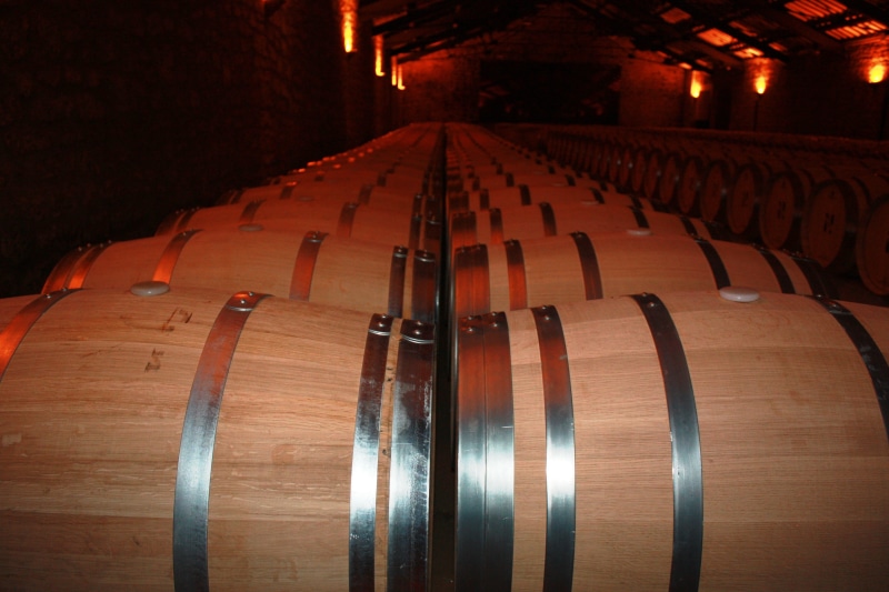 drink, food and drink industry, cellar, wine, 4K, indoors, alcohol, business, large group of objects, barrel, wine cellar, wine cask, wood, winery, refreshment