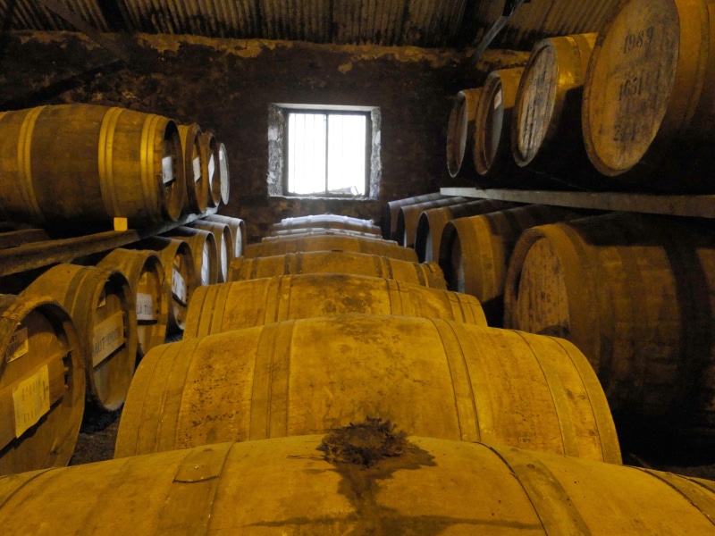 indoors, food and drink, winemaking, stock, scotland, wine cask, dark, islay, barrels, basement, cylinder, alcohol, barrel, oak, keller, building, fermenting