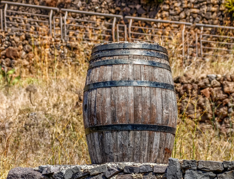 storage, barrel, land, warm, 4K, tree, old, railing, day, wheel, field, wooden barrels, outdoors, stone wall, container, close up, landscape, rusty, wine barrel