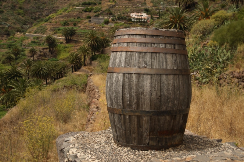 wood, 4K, wine cellar, plant, wooden, day, barrel, cylinder, winemaking, old, agriculture, solid, nature, woods, wine cask, brown, winery, ton, land, architecture