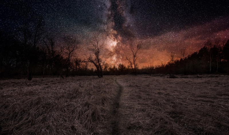 nightscape, night, forest, grass, Milky Way, stars, 1080P, landscape, path, trees