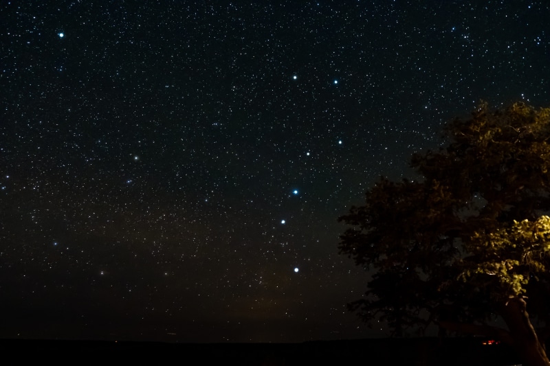 crand canyon, star field, astronomy, polaris, outdoors, big dipper, tree, night sky, plant, sky, scenics - nature, north star, night, infinity, star, no people