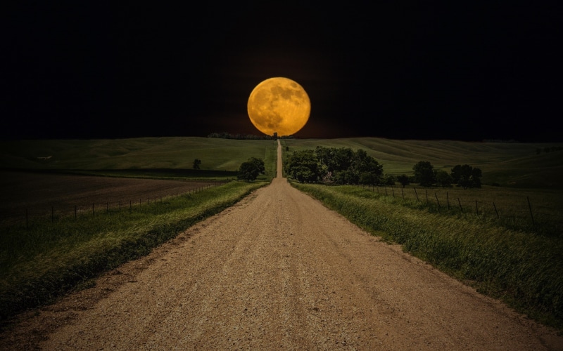 moon, full moon, full, yellow moon, yellow, night, 2K