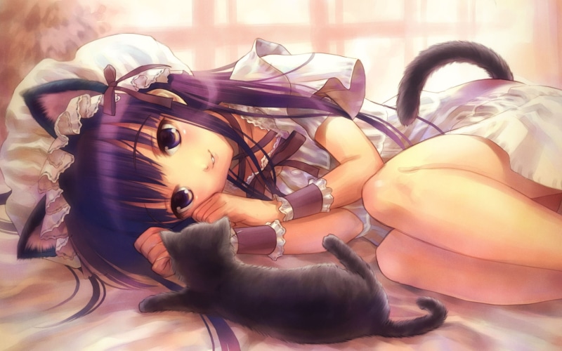 hd, hazuki, ears, animal ears, tsukuyomi, animal, phase, art, x, nekomimi, animals, 2K, cats, moon