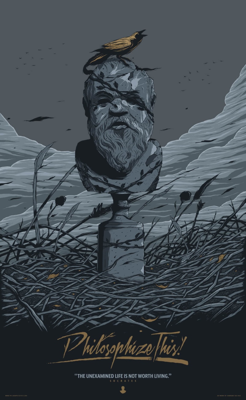 Socrates, 720P, Conrado Salinas, birds, quote, raven