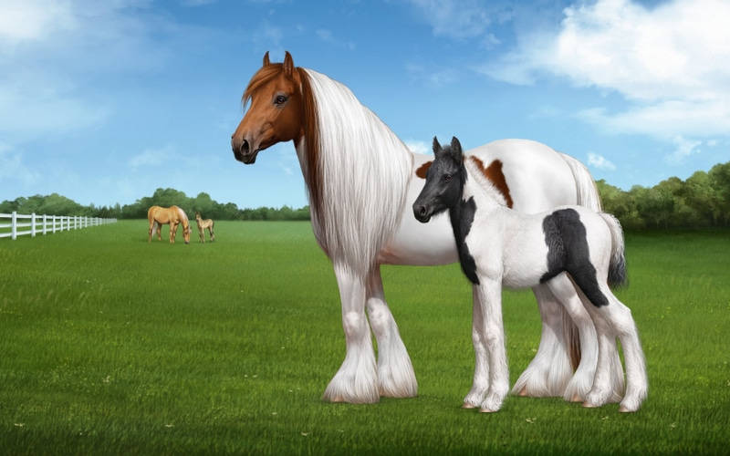 horse, vertebrate, breed, cloud - sky, type, domestic, cob, domestic animals, land, livestock, animal, animal wildlife, day, british, nature, hd, animal themes