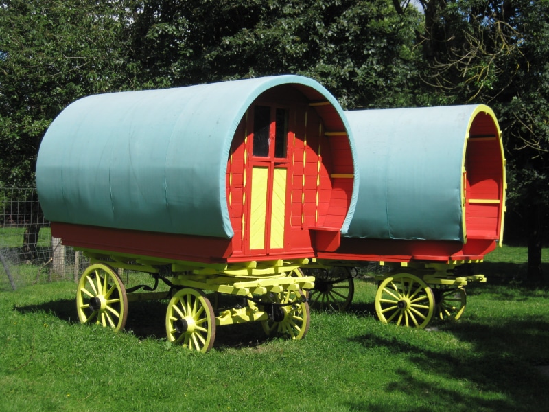 field, wagon, travel, horse, plant, stationary, carriages, gypsy, two, mode of transportation, wheel, blue, green, sod, green color, agriculture, nature