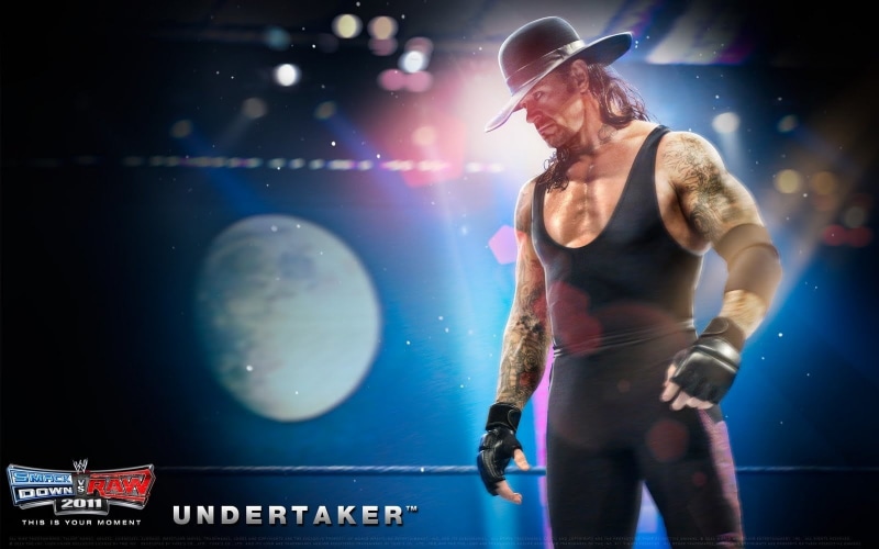 females, standing, skill, stage - performance space, three quarter length, young Adult, indoors, WWE, women, entertainment, performing arts event, undertaker