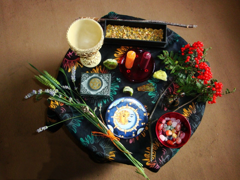 tray, Witch, food, bowl, celebration, decoration, flowering plant, high angle view, freshness, indoors, close-up, nature, flower, table, directly above