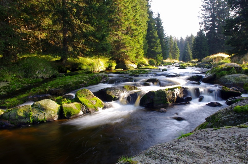 flowing water, Czech Republic, long exposure, rainforest, rock, Sumava, motion, stream - flowing water, tree, outdoors, Bohemia, leafed, power in nature