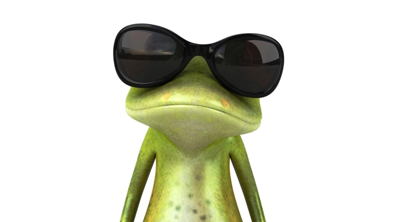 sunglasses, sympathetic, 1080P, frog, animals, bohemia