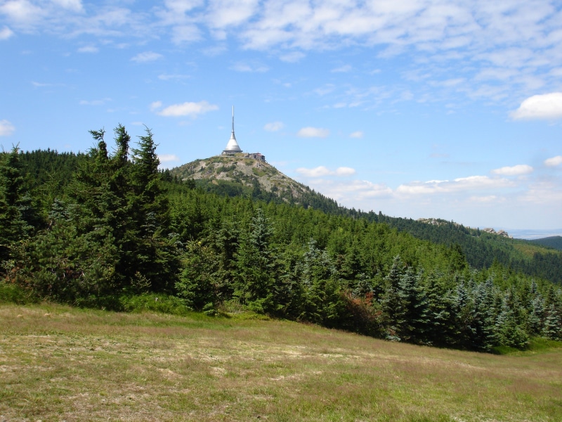 outdoors, cloud - sky, coniferous tree, tranquility, scenics - nature, lookout, non-urban scene, idyllic, bohemia, landscape, growth, land, day, field